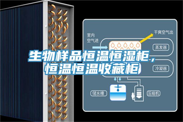 生物样品恒温恒湿柜，恒温恒温收藏柜