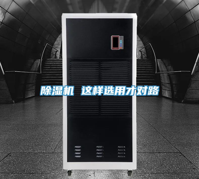 91免费网站在线观看 这样选用才对路