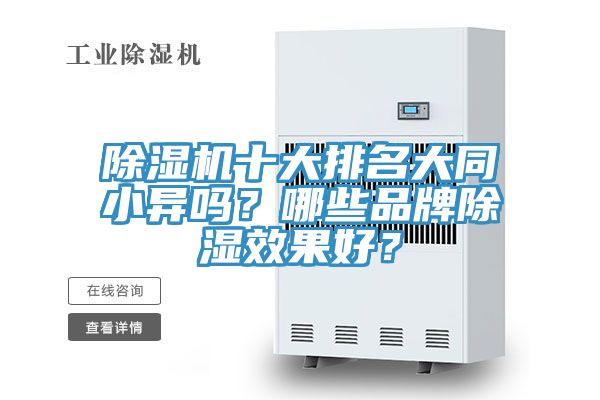 91免费网站在线观看十大排名大同小异吗？哪些品牌除湿效果好？