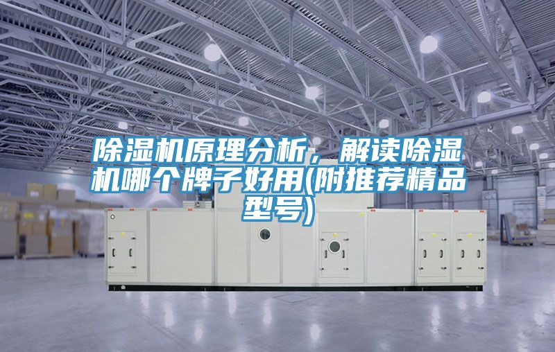 91免费网站在线观看原理分析，解读91免费网站在线观看哪个牌子好用(附推荐精品型号)