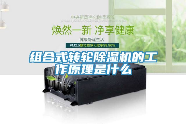 组合式转轮91免费网站在线观看的工作原理是什么