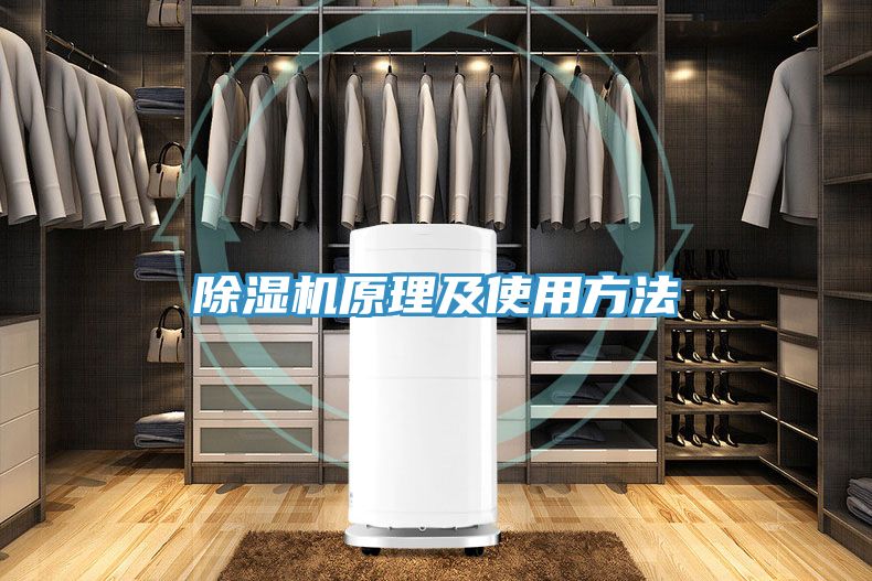 91免费网站在线观看原理及使用方法