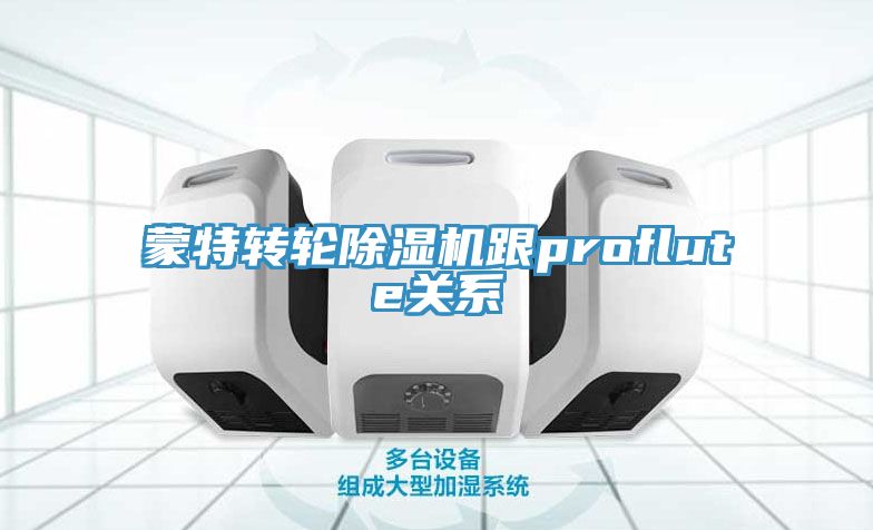 蒙特转轮91免费网站在线观看跟proflute关系