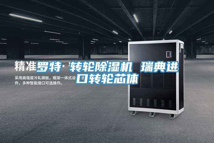 罗特 转轮91免费网站在线观看 瑞典进口转轮芯体