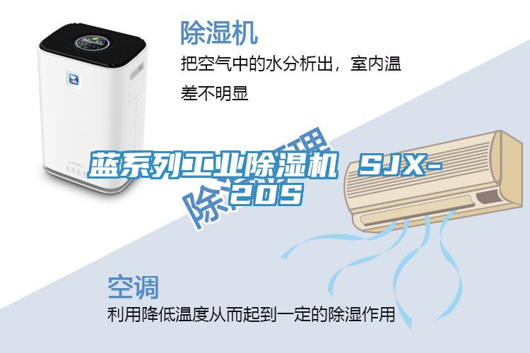 蓝系列工业91免费网站在线观看 SJX-20S