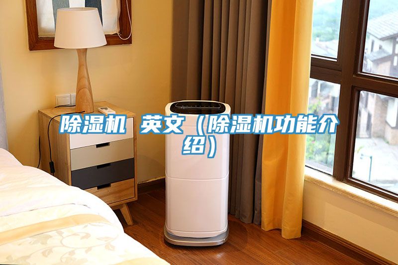 91免费网站在线观看 英文（91免费网站在线观看功能介绍）