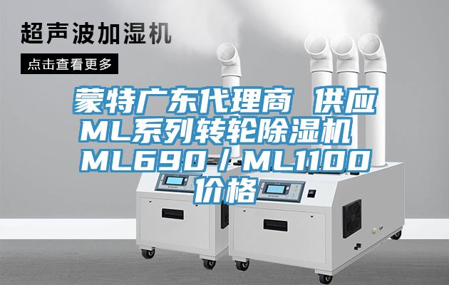 蒙特广东代理商 供应ML系列转轮91免费网站在线观看 ML690／ML1100价格