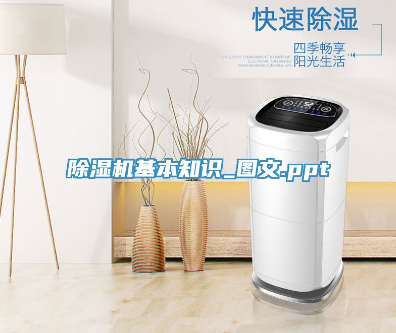 91免费网站在线观看基本知识_图文.ppt