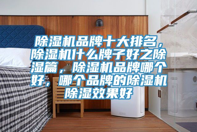 91免费网站在线观看品牌十大排名，91免费网站在线观看什么牌子好之除湿篇，91免费网站在线观看品牌哪个好，哪个品牌的91免费网站在线观看除湿效果好