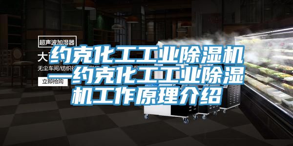 约克化工工业91免费网站在线观看—约克化工工业91免费网站在线观看工作原理介绍