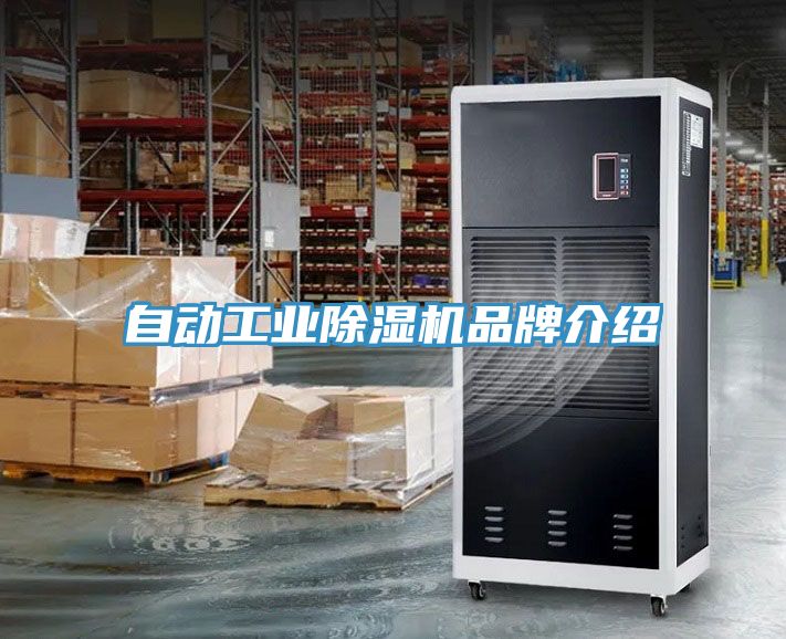自动工业91免费网站在线观看品牌介绍