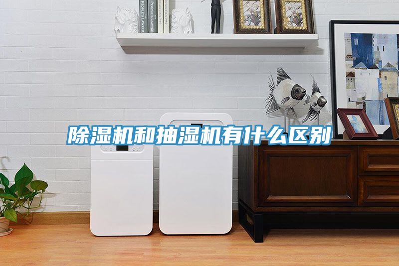 91免费网站在线观看和抽湿机有什么区别