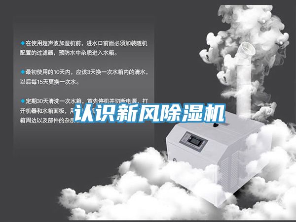 认识新风91免费网站在线观看