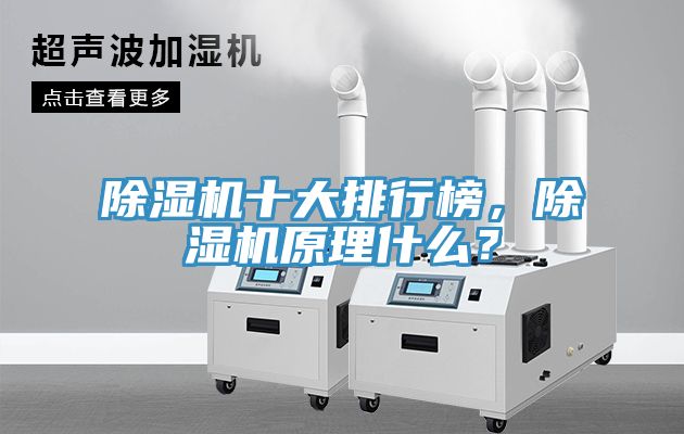 91免费网站在线观看十大排行榜，91免费网站在线观看原理什么？