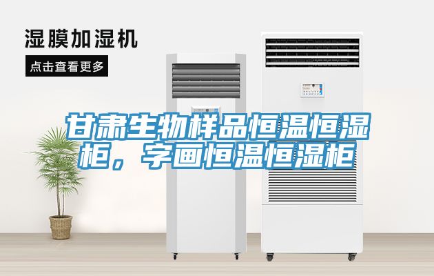甘肃生物样品恒温恒湿柜，字画恒温恒湿柜