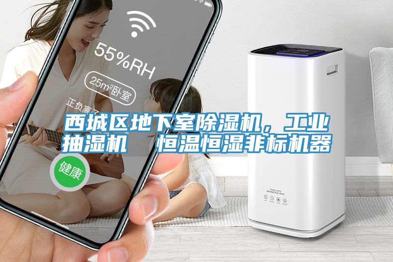 西城区地下室91免费网站在线观看，工业抽湿机  恒温恒湿非标机器