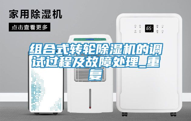 组合式转轮91免费网站在线观看的调试过程及故障处理_重复