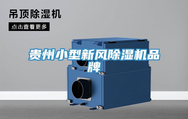 贵州小型新风91免费网站在线观看品牌