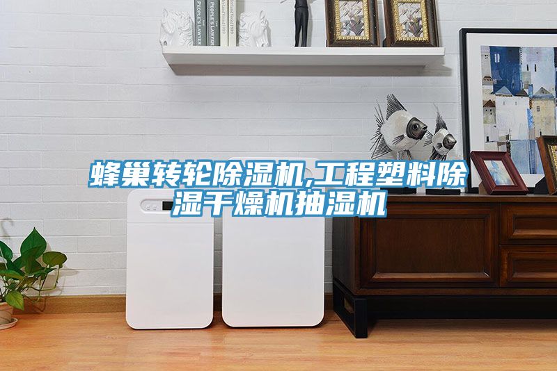 蜂巢转轮91免费网站在线观看,工程塑料除湿干燥机抽湿机