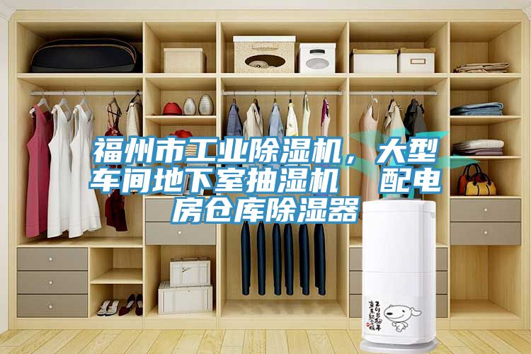 福州市工业91免费网站在线观看，大型车间地下室抽湿机  配电房仓库除湿器