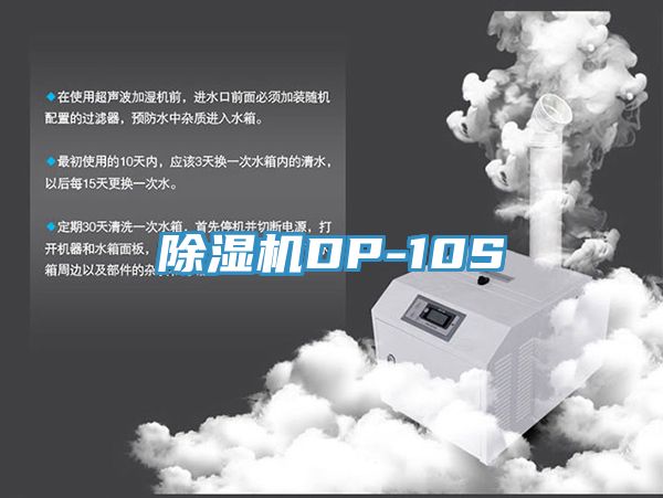 91免费网站在线观看DP-10S