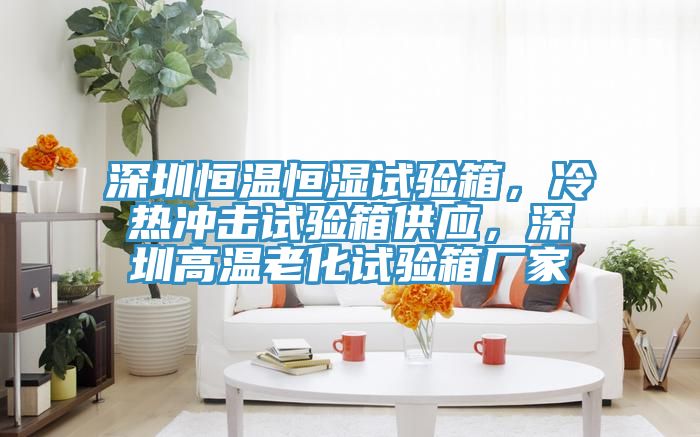 深圳恒温恒湿试验箱，冷热冲击试验箱供应，深圳高温老化试验箱厂家
