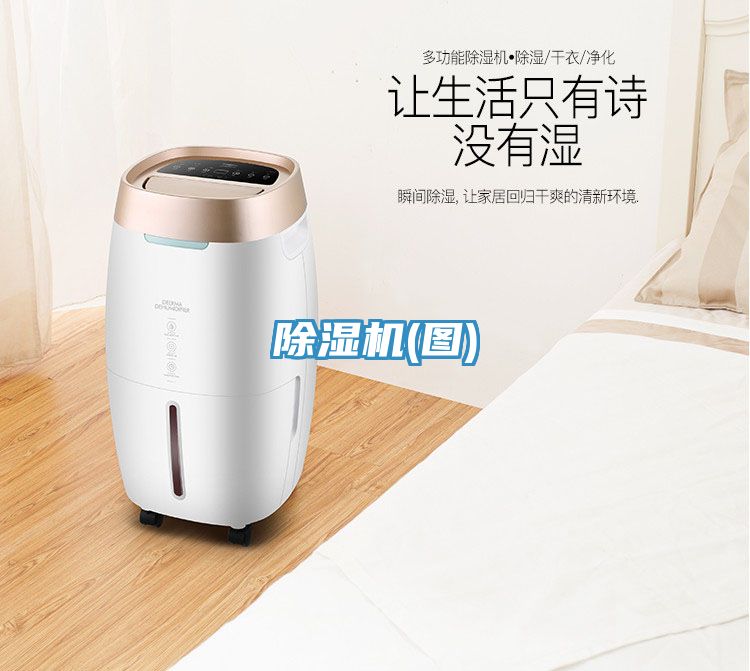 91免费网站在线观看(图)
