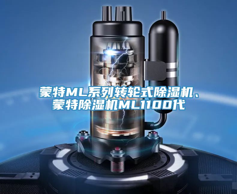 蒙特ML系列转轮式91免费网站在线观看、蒙特91免费网站在线观看ML1100代