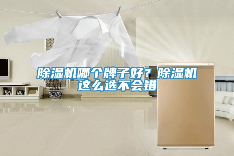 91免费网站在线观看哪个牌子好？91免费网站在线观看这么选不会错