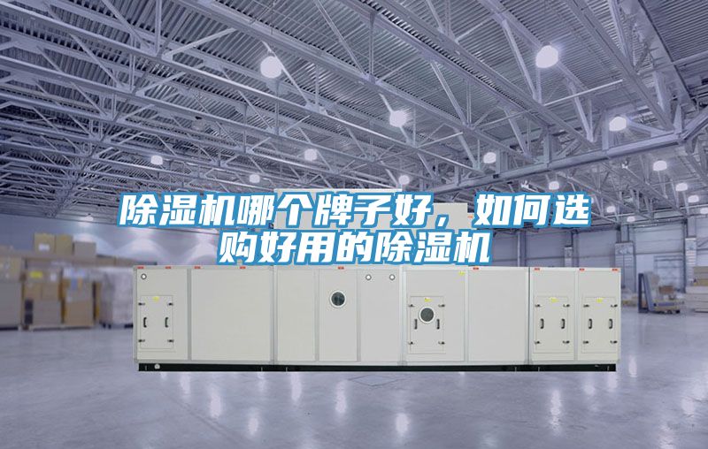 91免费网站在线观看哪个牌子好，如何选购好用的91免费网站在线观看