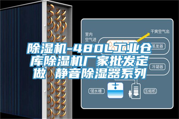 91免费网站在线观看-480L工业仓库91免费网站在线观看厂家批发定做 静音除湿器系列