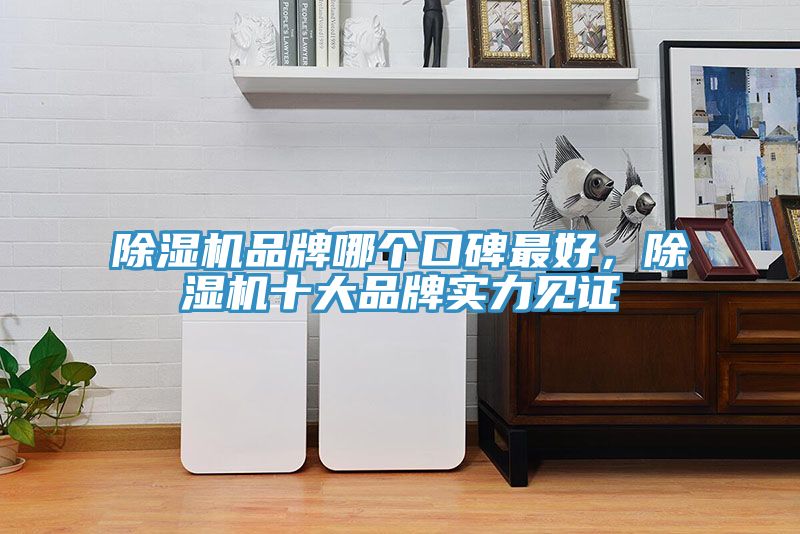 91免费网站在线观看品牌哪个口碑最好，91免费网站在线观看十大品牌实力见证