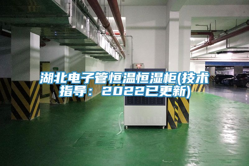 湖北电子管恒温恒湿柜(技术指导：2022已更新)