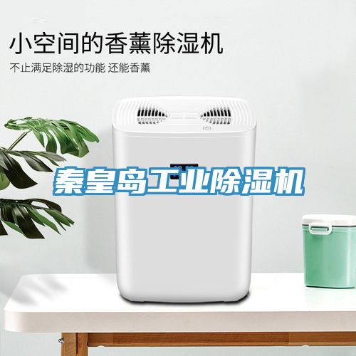 秦皇岛工业91免费网站在线观看