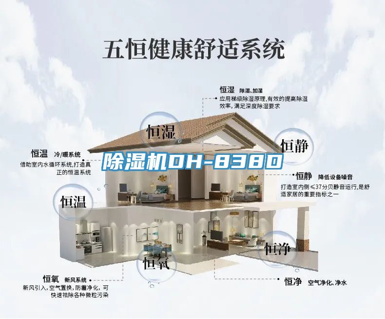 91免费网站在线观看DH-838D