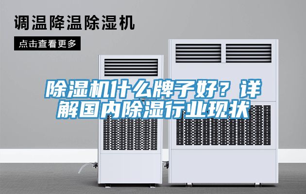 91免费网站在线观看什么牌子好？详解国内除湿行业现状