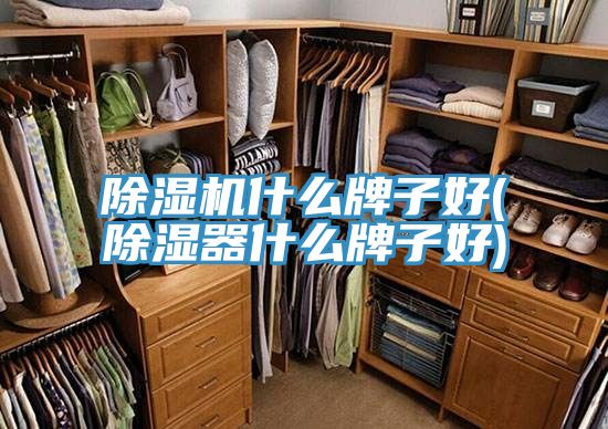 91免费网站在线观看什么牌子好(除湿器什么牌子好)