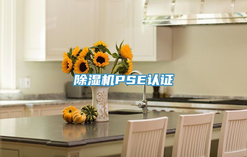91免费网站在线观看PSE认证