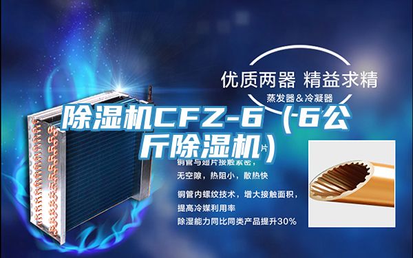 91免费网站在线观看CFZ-6（6公斤91免费网站在线观看）