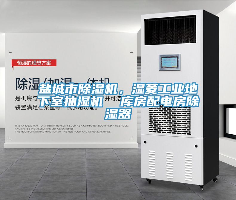 盐城市91免费网站在线观看，湿菱工业地下室抽湿机  库房配电房除湿器