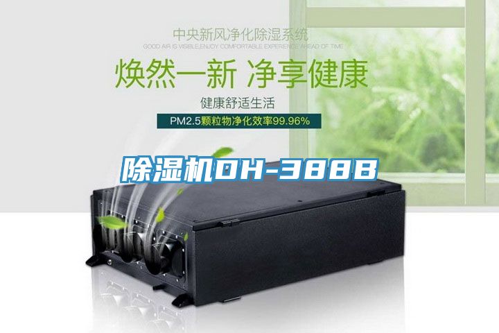 91免费网站在线观看DH-388B