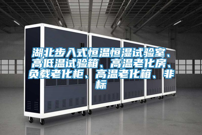 湖北步入式恒温恒湿试验室、高低温试验箱、高温老化房、负载老化柜、高温老化箱、非标
