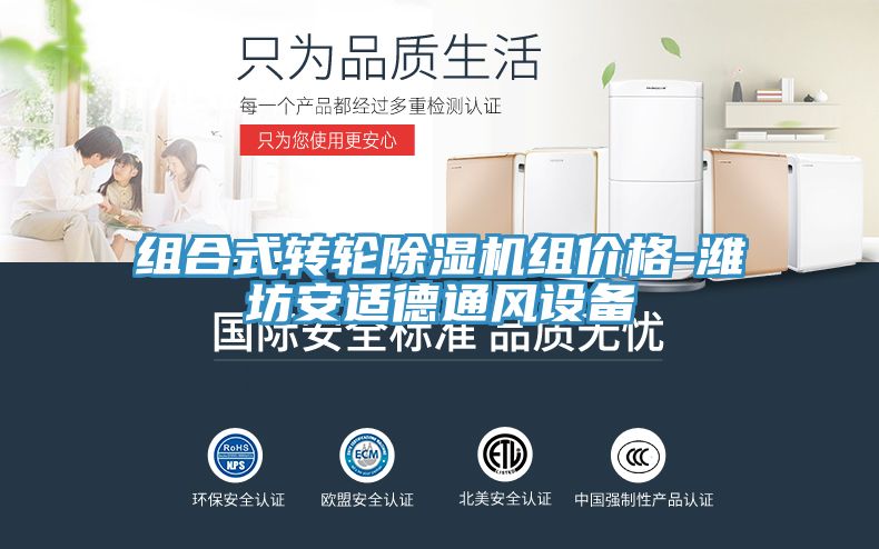 组合式转轮91免费网站在线观看组价格-潍坊安适德通风设备
