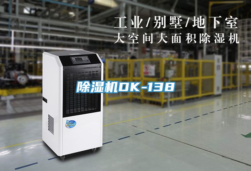 91免费网站在线观看DK-138