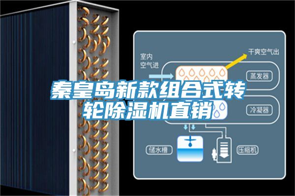 秦皇岛新款组合式转轮91免费网站在线观看直销