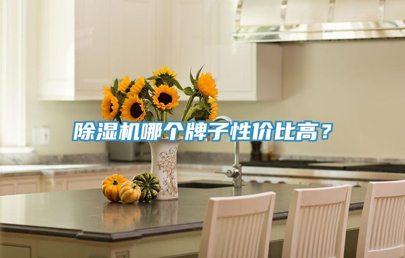91免费网站在线观看哪个牌子性价比高？