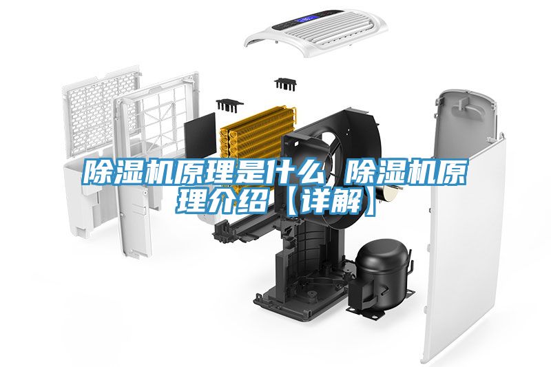 91免费网站在线观看原理是什么 91免费网站在线观看原理介绍【详解】