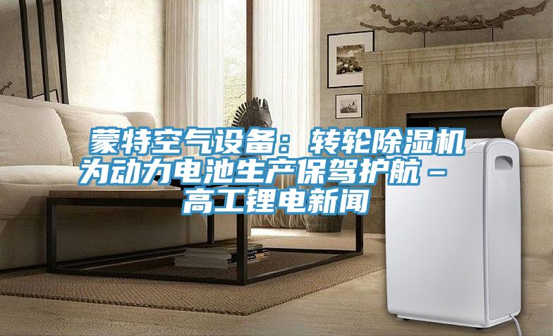 蒙特空气设备：转轮91免费网站在线观看为动力电池生产保驾护航– 高工锂电新闻