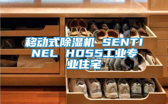 移动式91免费网站在线观看 SENTINEL HD55工业专业住宅