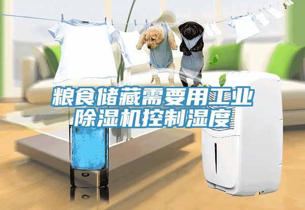 粮食储藏需要用工业91免费网站在线观看控制湿度